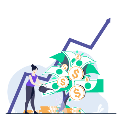 seed investment round money