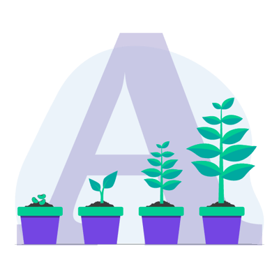 Capitalization Table: Seed Stage