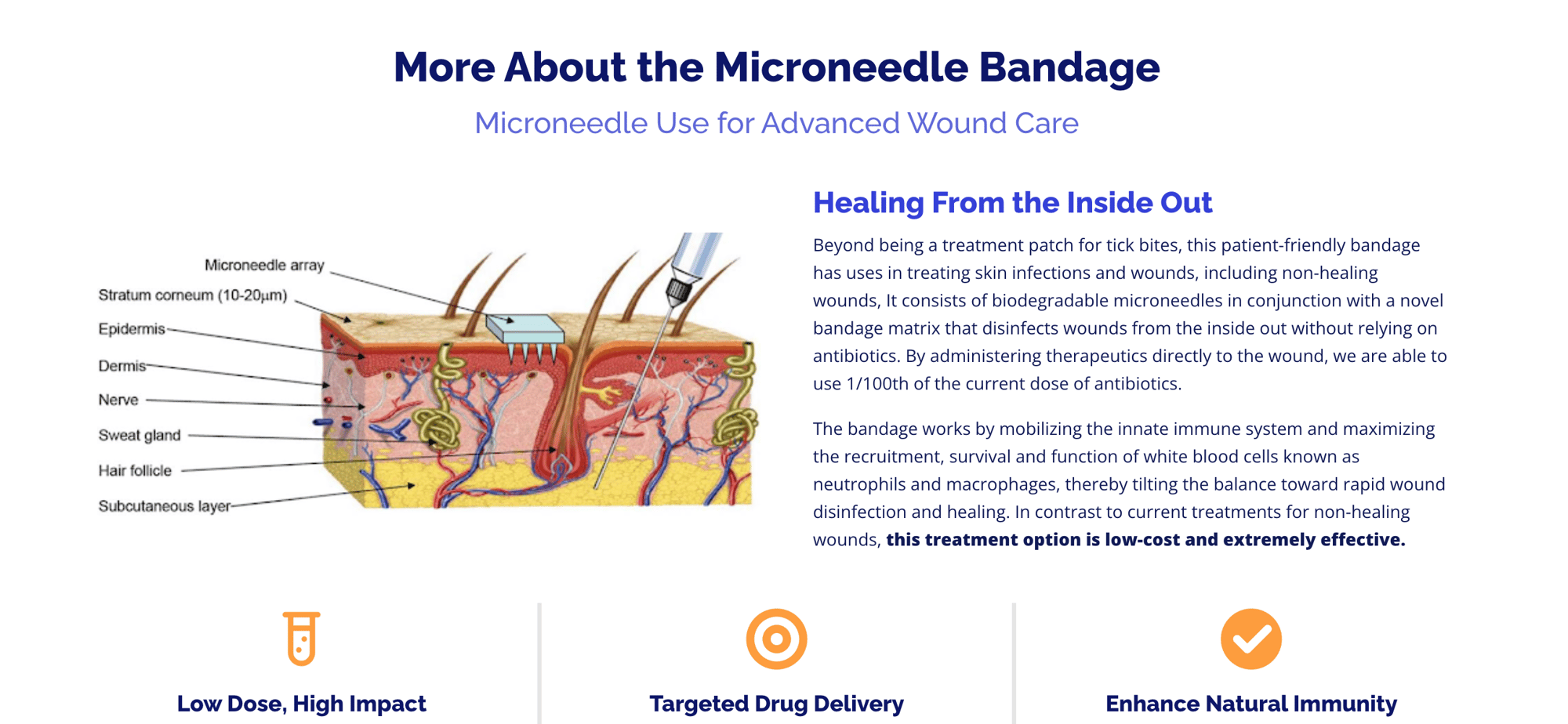 Therapeutic Bandage Products Screenshot Therapeutic Bandage Products Screenshot